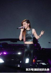娱乐圈明星演唱会爆料,独家爆料背后的故事 第1张 娱乐圈明星演唱会爆料,独家爆料背后的故事 第1张