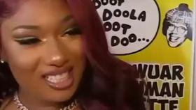 辛巴事件女主爆料视频大全,真相与争议交织的舆论漩涡  第2张