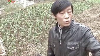 爆料大连新闻联播今天,重大事件揭秘与民生关注盘点  第3张