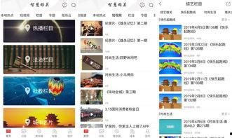 嘉峪关视频爆料新闻最新 第1张 嘉峪关视频爆料新闻最新 第1张